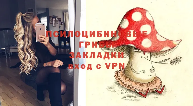 Псилоцибиновые грибы MAGIC MUSHROOMS  Лениногорск 